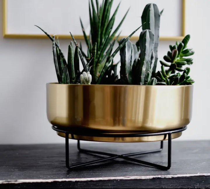 Mid Century 12inch Metal succulent planter bowl